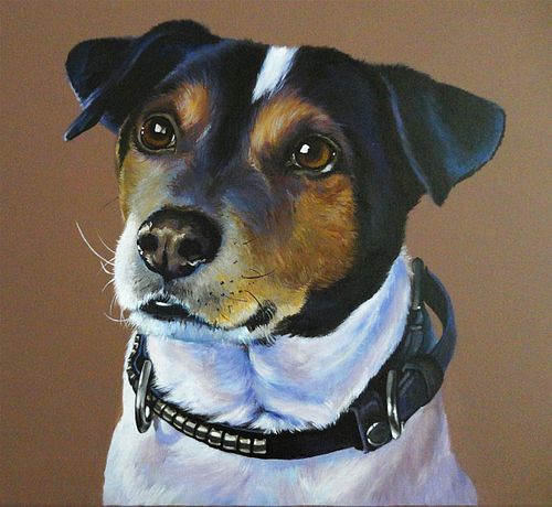 Jack Russell dog portrait with lively and intelligent eyes