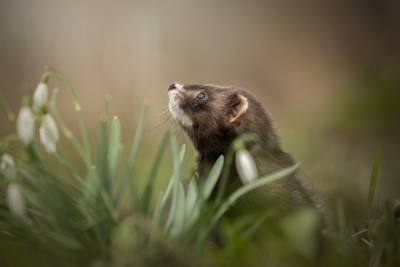 10 van mijn favoriete huisdierenfoto's en het verhaal erachter.