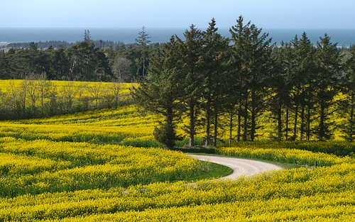 Scouting trip voor Denemarken/Jutland