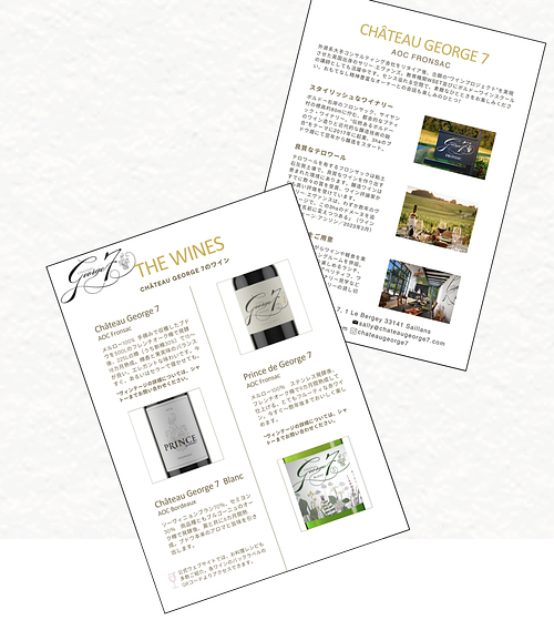 SEO, Blogging, & Newsletter Strategy