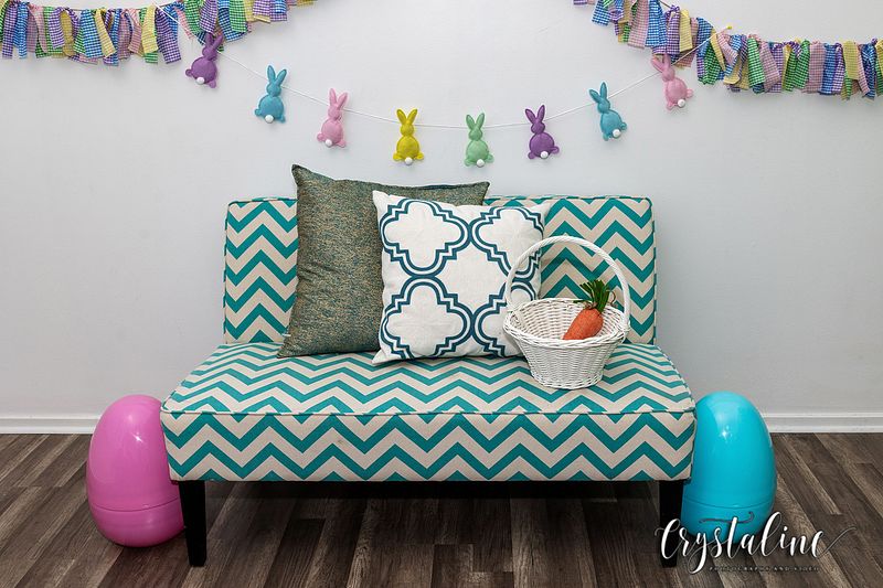 Live Spring Bunny Photo Sessions in Arvada, Colorado