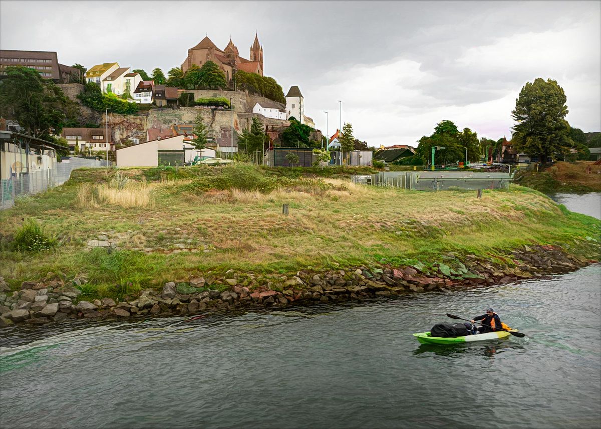 The Rhine