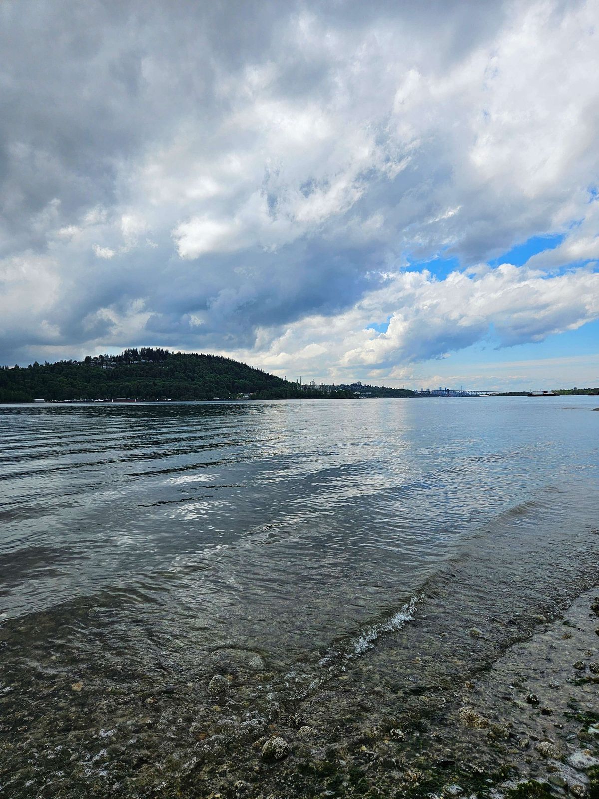 the beach at cates park, vancouver