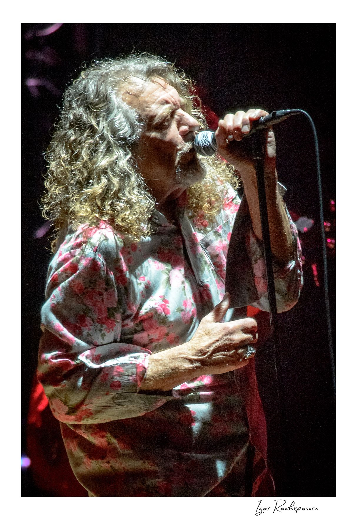 Vertical concert photography of Robert Plant singing into a microphone with dramatic expression under warm stage lighting during a live performance