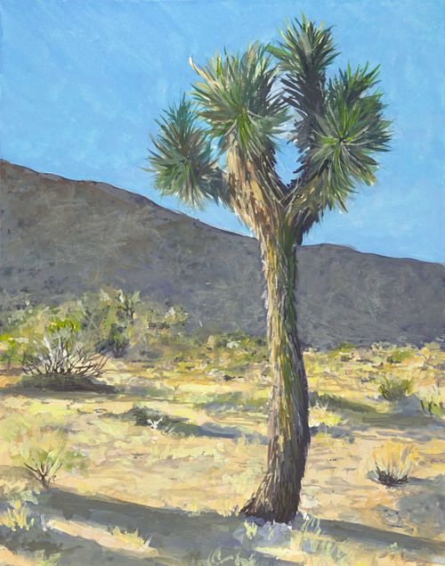 Joshua Tree/Nancy Karl Trail