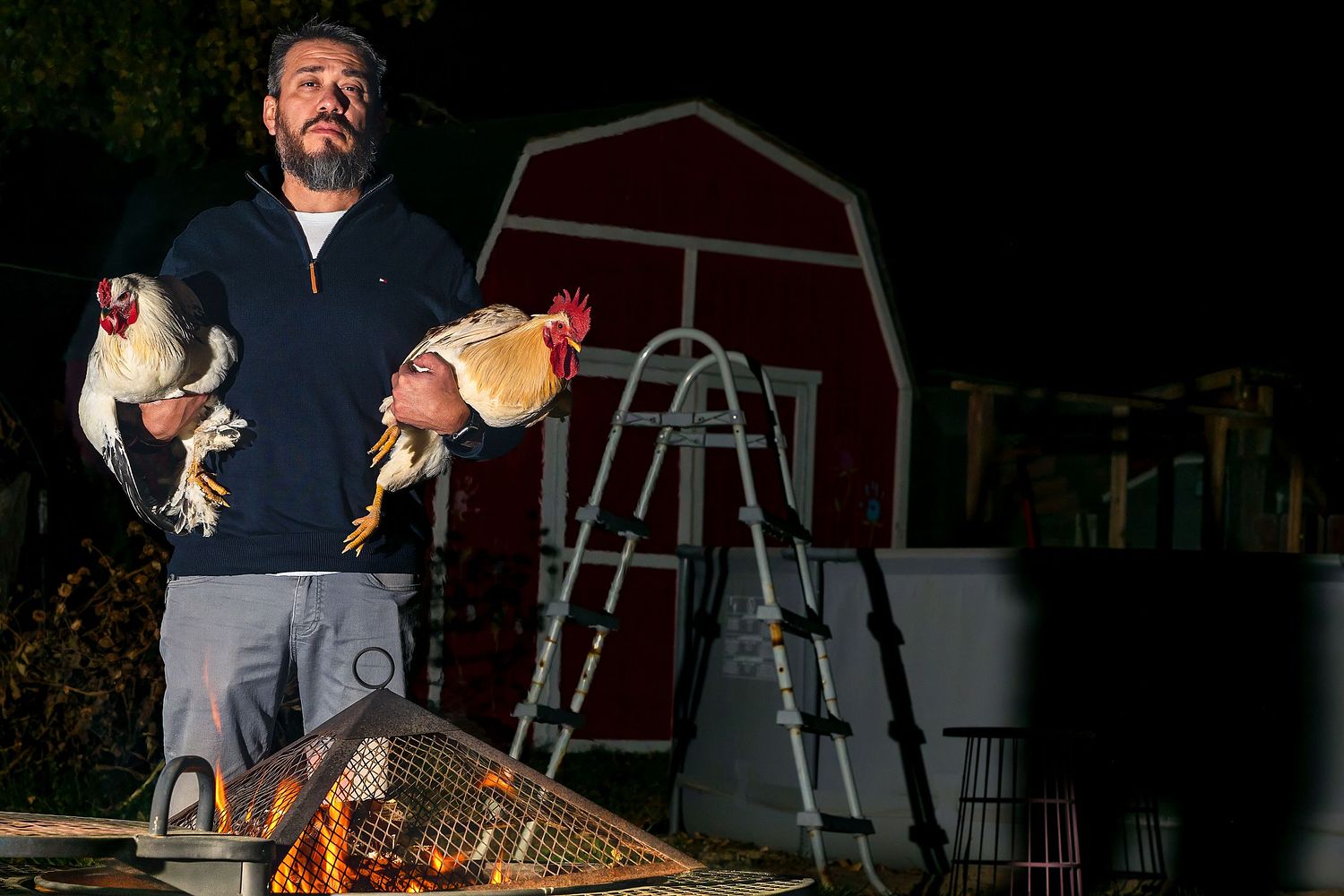 Editorial Portrait of man in backyard with Roosters. editorial