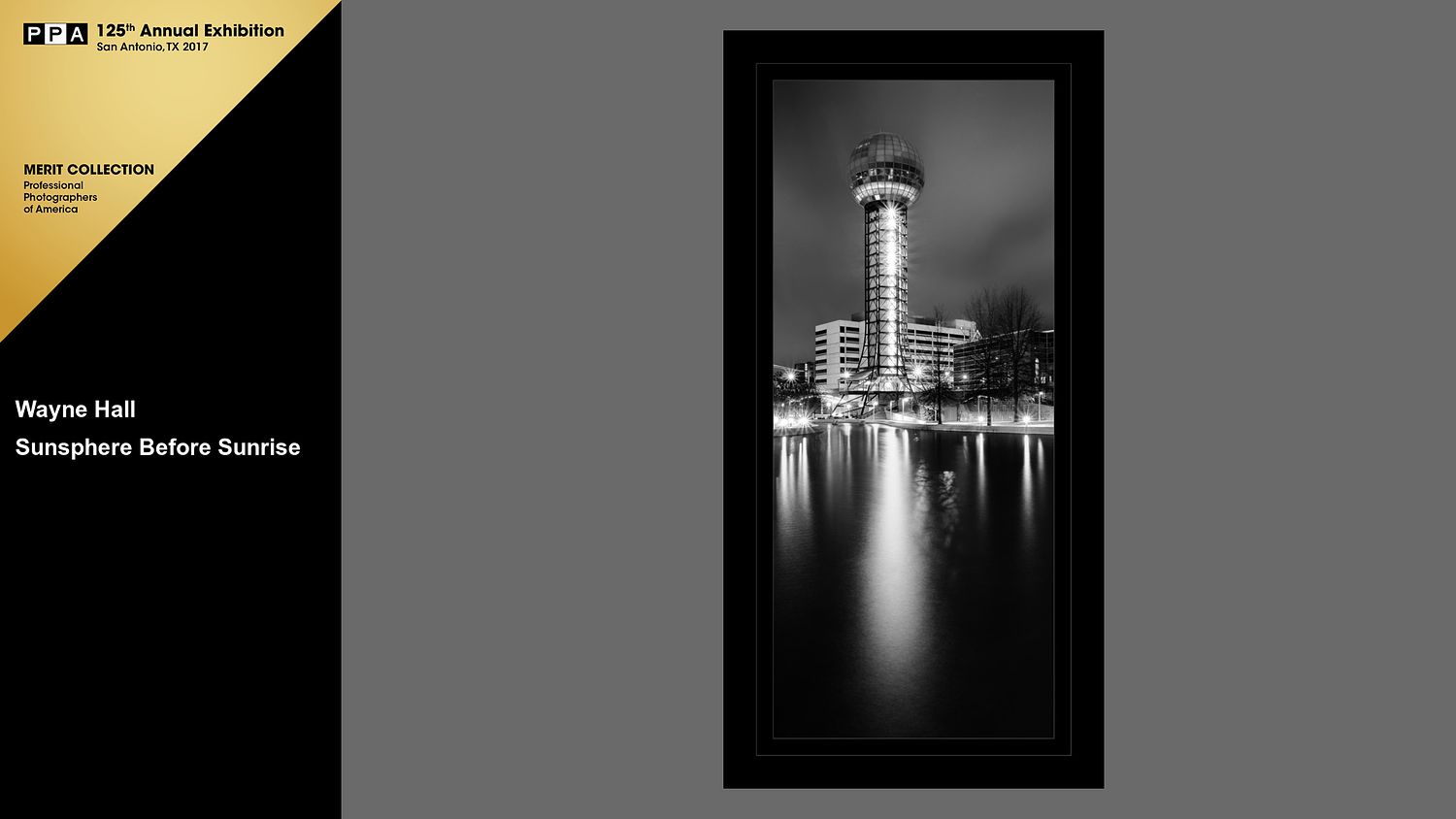 WALL Photography & Design