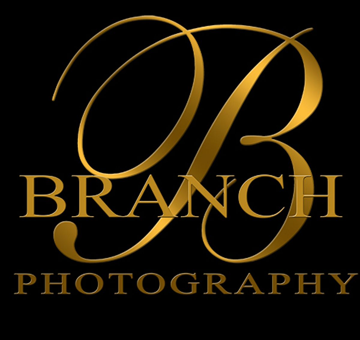 Branch Commercial Photography, Architecture and Headshots - Rogers