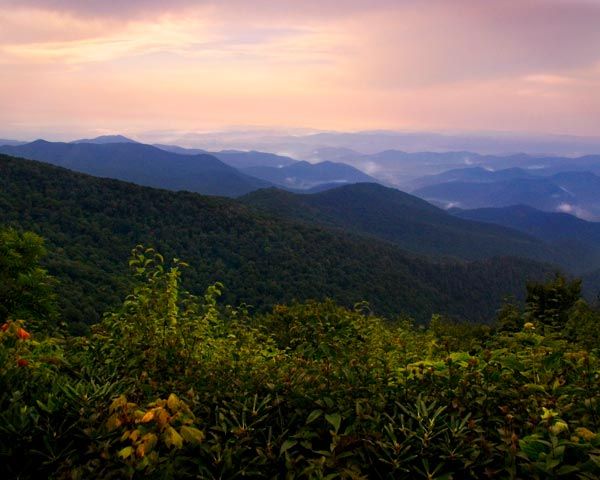 Jonathan Welch Media Arts