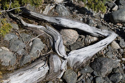 Im Nationalpark Jomfruland