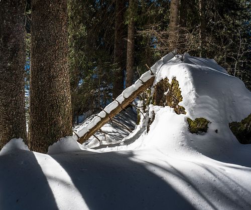 Auf dem Weg zum Grüneberg-Pass