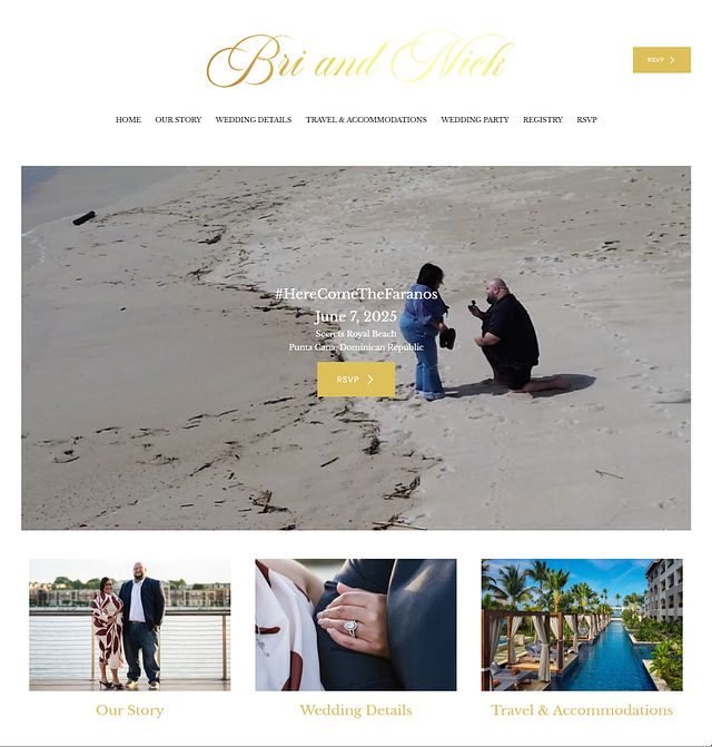 Bri and Nick Portfolio Website Examples