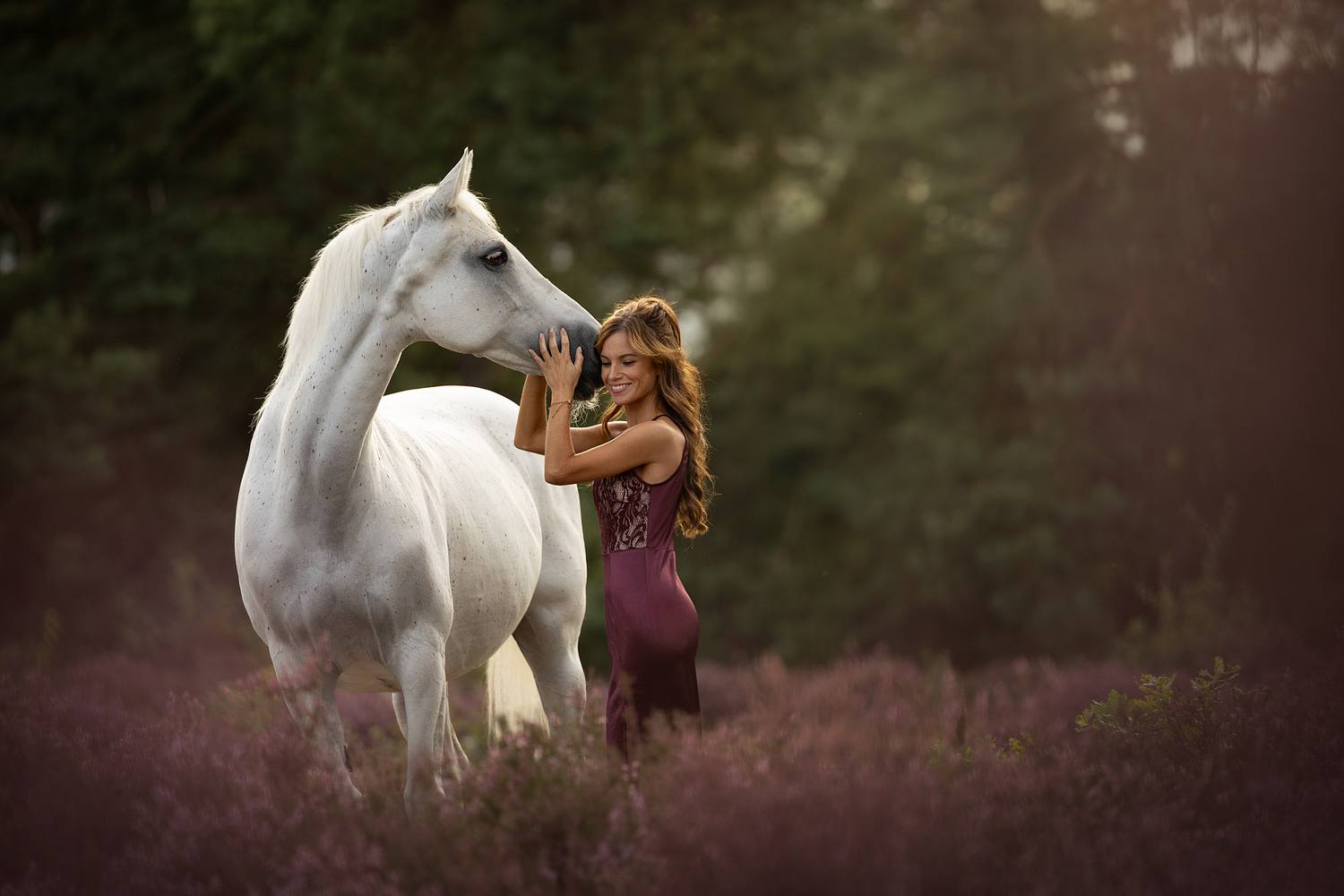 NLS Dierenfotografie