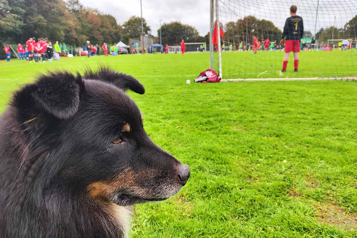 Unser Henry war natürlich auch bei der Bunten Liga in Bremen dabei