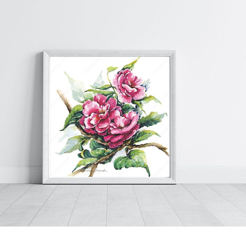 Pink Camellia Flowers