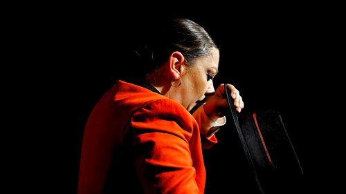 Danseuse de Flamenco en Andalousie