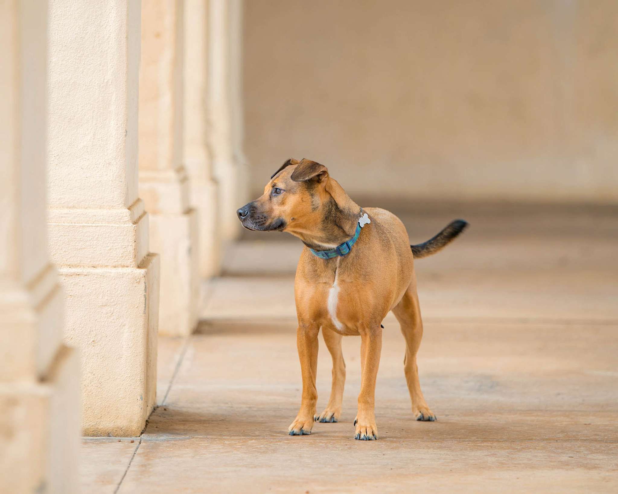 Gretchen Otero Photography