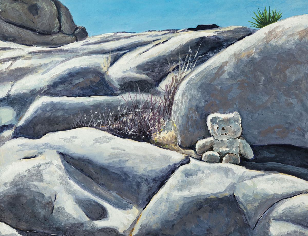 Teddy Bear in JT Consv Area-4-25