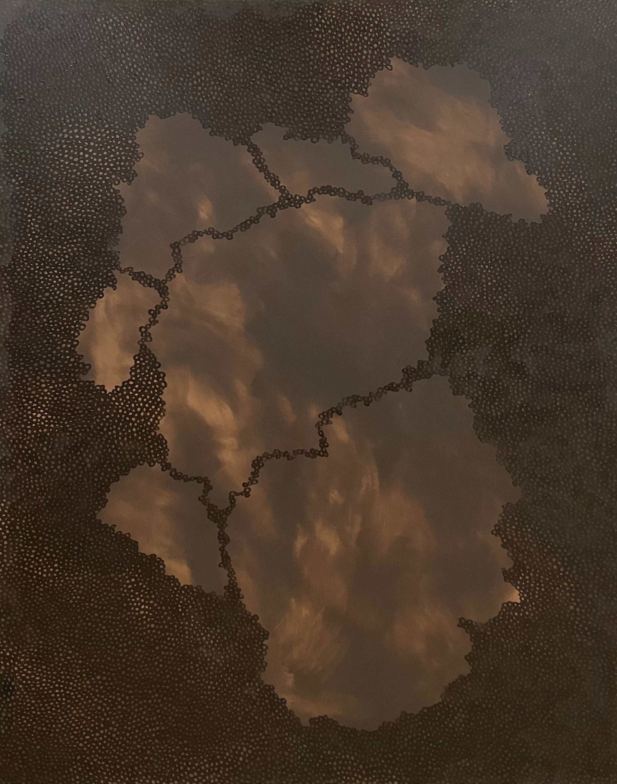 Brown 1 (2024)