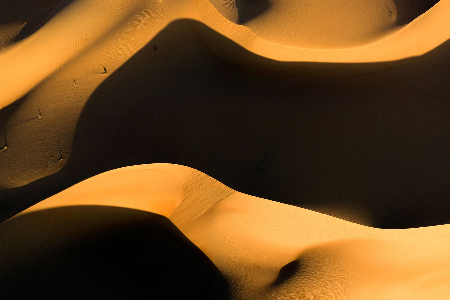 Rashed Alsumaiti's offical website