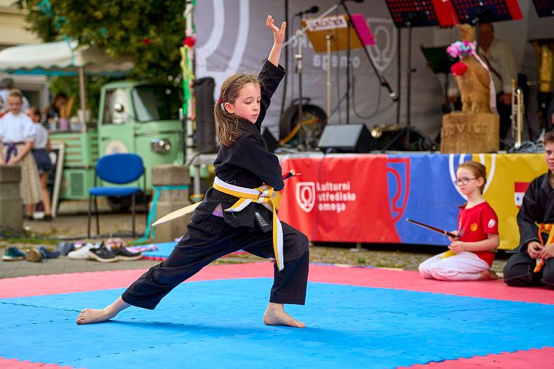 HUSOVICKÉ HODY 2024