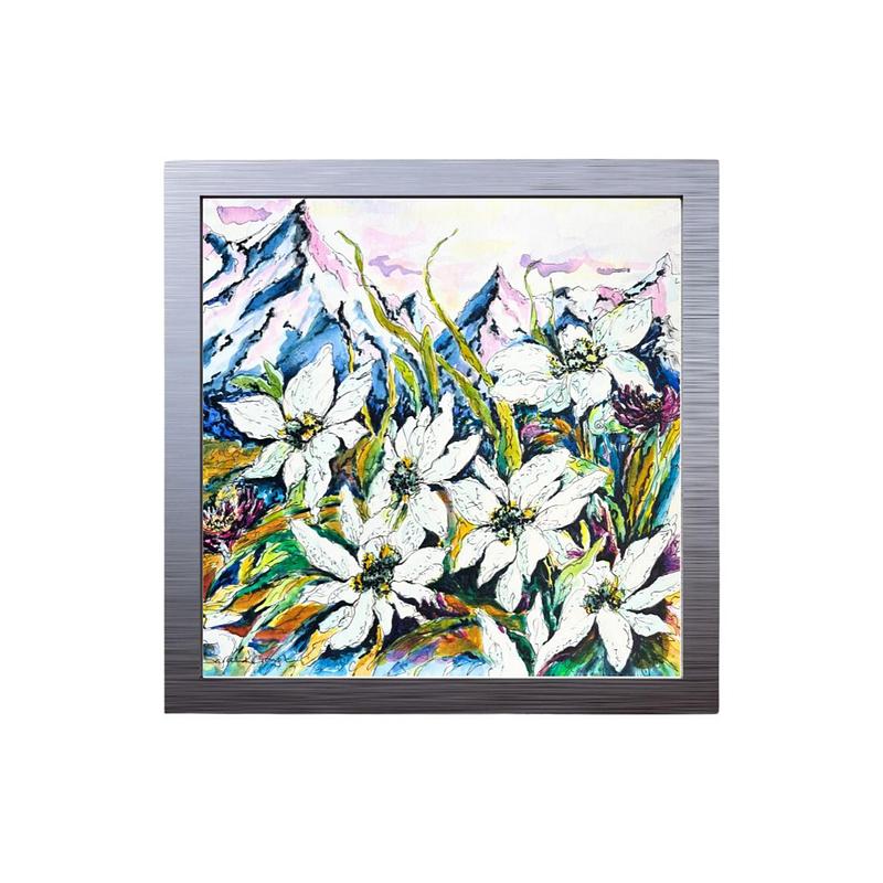 White Edelweiss Alpine Mountain Wild Flowers- Original Watercolour and Pen Illustration