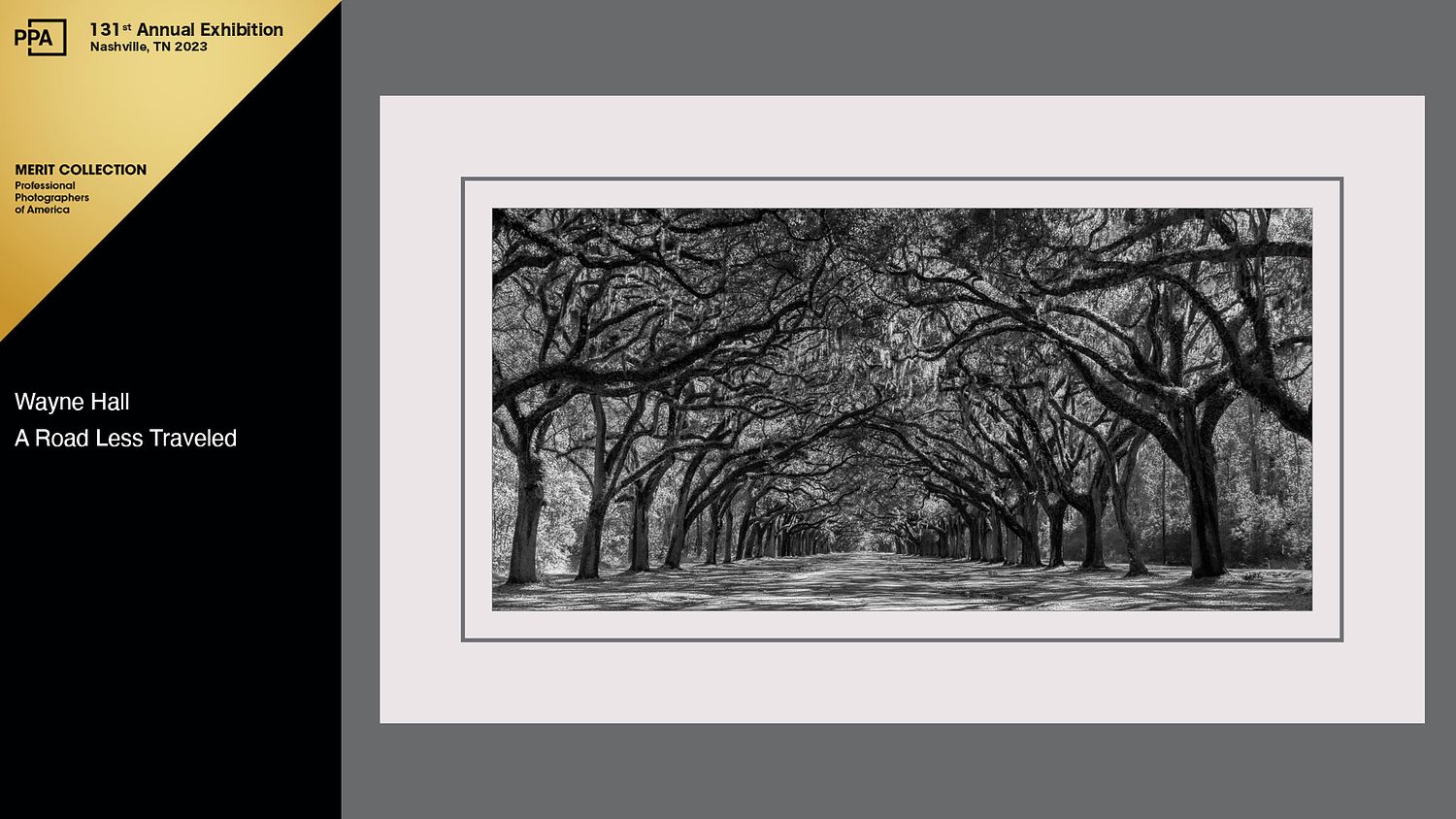 WALL Photography & Design