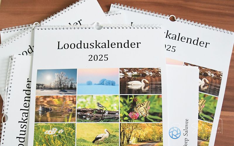 Telli kalender
