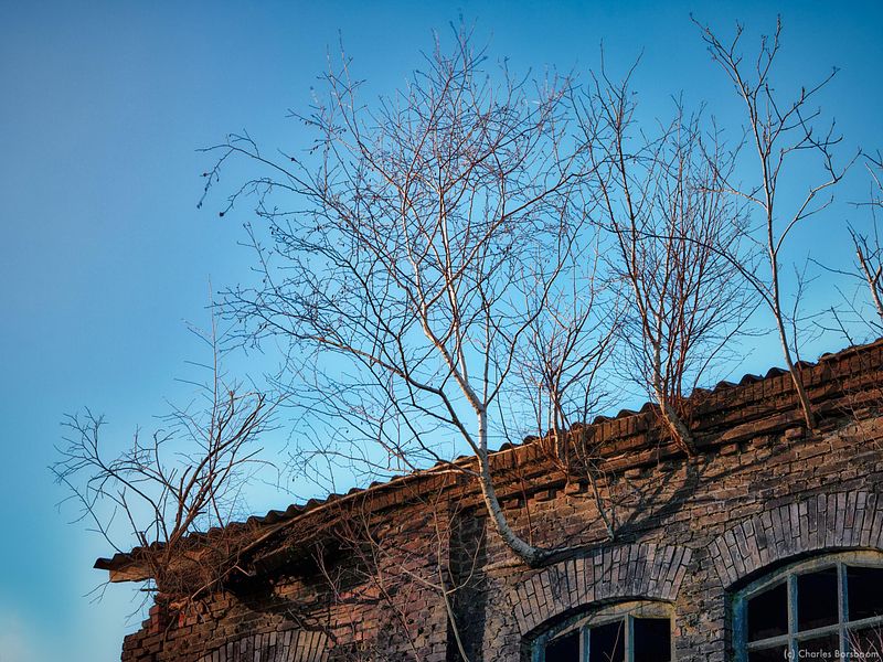 Urbexfotografie Groningen (25 april 2026)