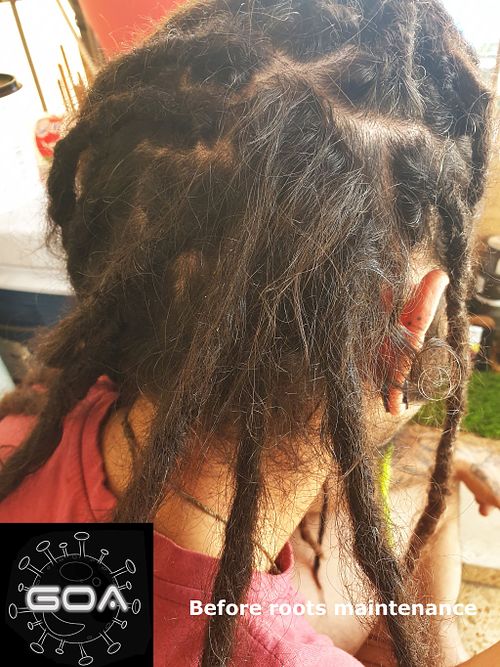 Before roots maintenance