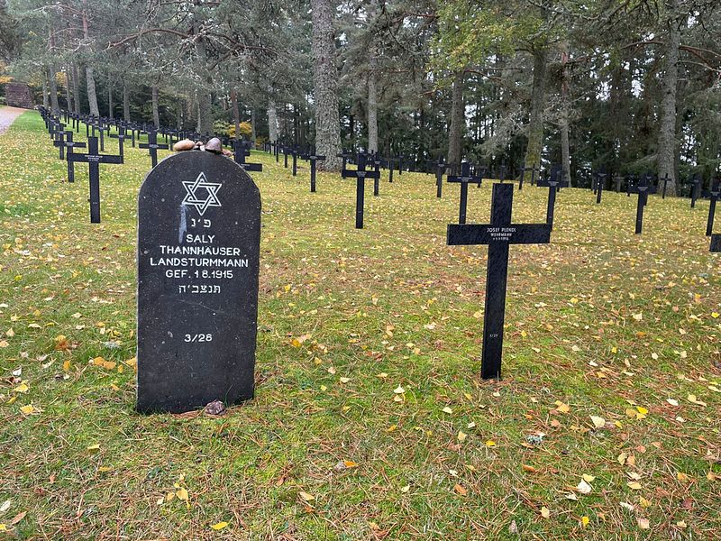 Kurztrip III -Lingekopf