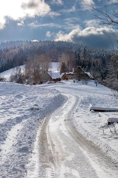 Chemin enneigé serpentant à travers la forêt.