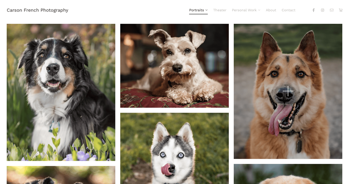 Portfolio de photographies d'animaux de compagnie de Carson French