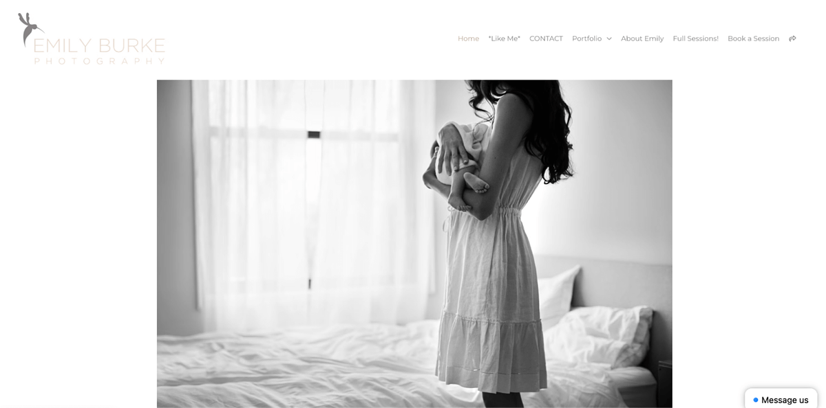 Emily Burkes newborn online portfolio website