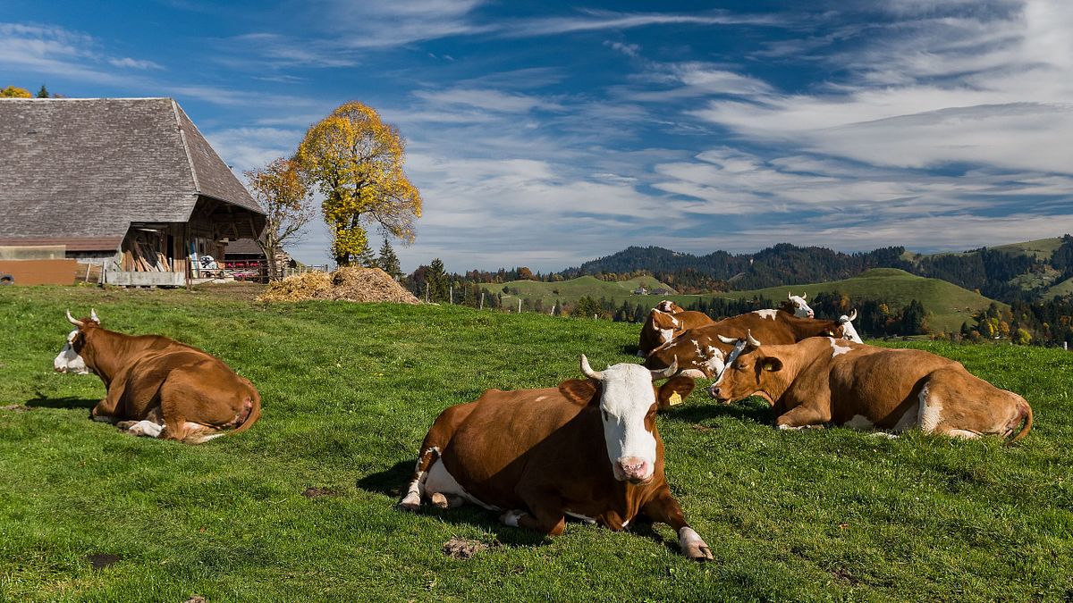 Kapelle Wilder Geschinen