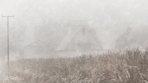 "Gentle Morning" is a textured fine art image of a foggy rural Illinois scene of a corn crib and grain bins sitting behind a corn field. © Gregory C. Sundra