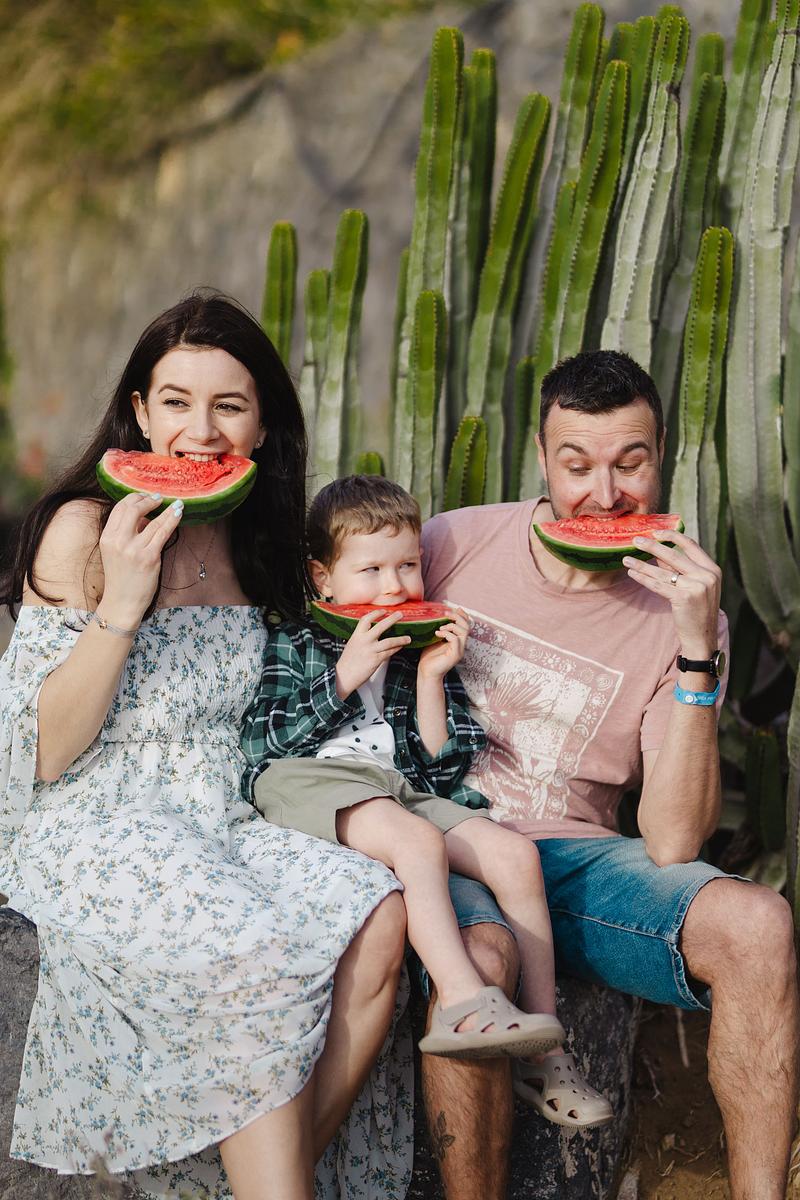 Family / Sur