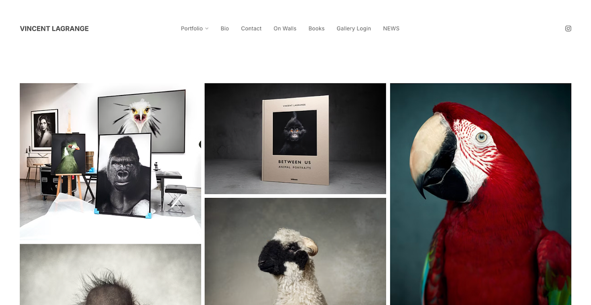 Vincents website voor natuurfotografie
