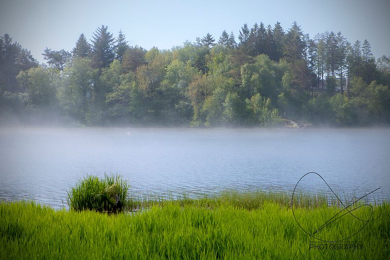 Tysdag 1. juni er eg ute heile dagen