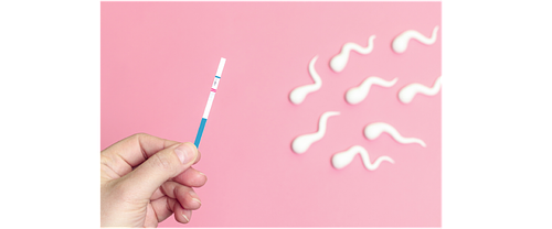 Reproductive Health Education