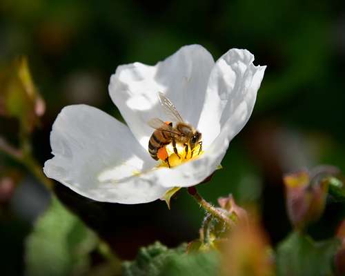 Get More Information