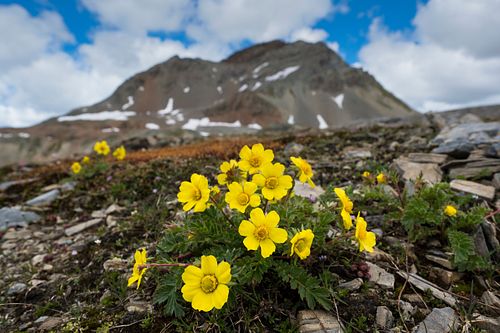 Kapelle Wilder Geschinen
