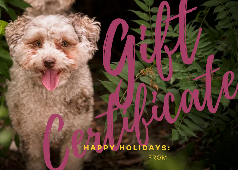 Let's Bark About It: Gift Giving