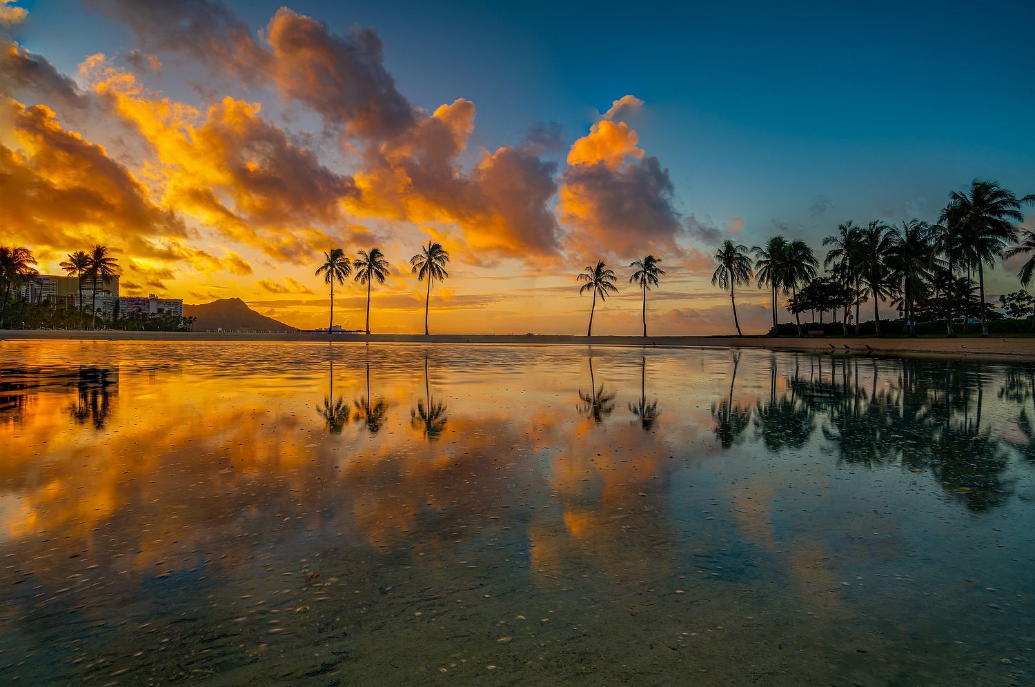Dream Shot Hawaii