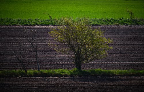 Scouting trip voor Denemarken/Jutland