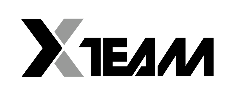 THE X-TEAM