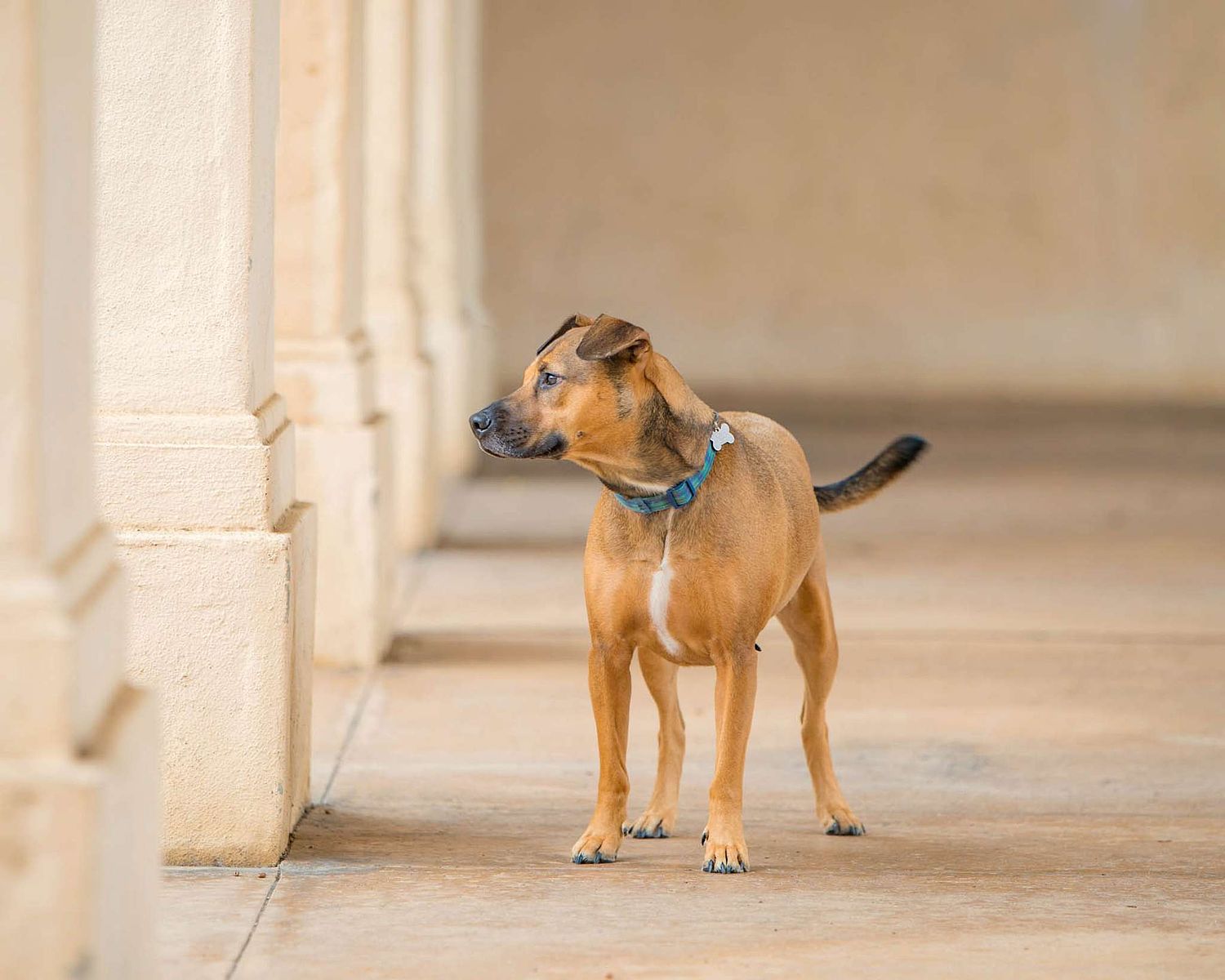 Gretchen Otero Photography