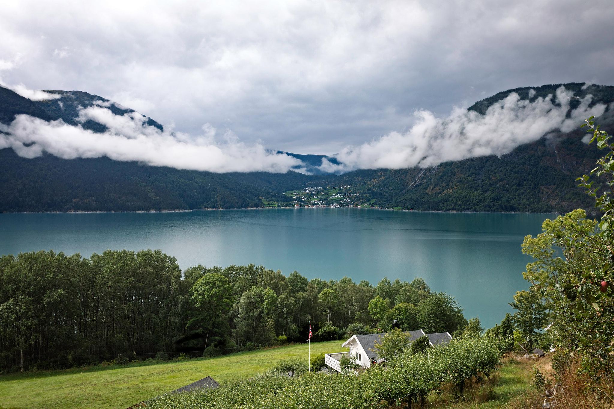 Rivage nordique avec arbres et ciel bas.