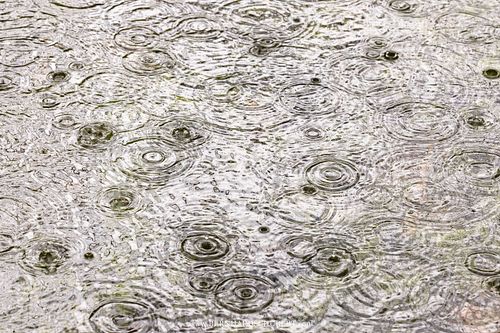 Kreisförmige Regentropfenwellen