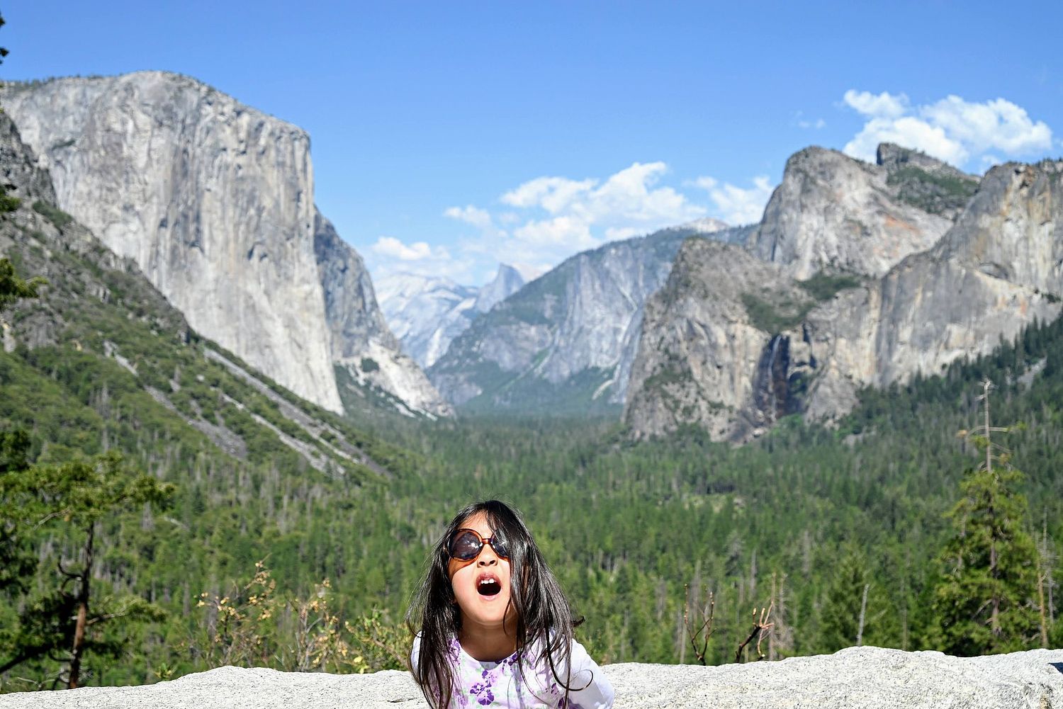 Sunshine Crème Photography